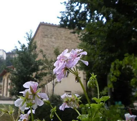 Agriturismo La Molinella Vakantieboerderij Colombella